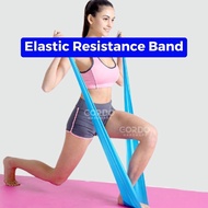 ELASTIC RUBBER RESISTANCE BAND ELASTIC STRETCHING FITNESS YOGA PILATES - biru