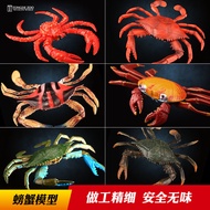 Tongde Crab Model Marine Animal Toy Children's Simulation Underwater Creature Hairy Crab Flower Crab