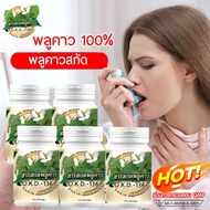 สารสกัดพลูคาว O.K.D.-136 (พลูคาวตอง)พลูคาวแท้100% ภูมิคุ้มกัน แพ้อากาศ ชุดเซ็ทสุดคุ้ม 5 กระปุก 1กระป