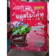 Baja Osmocote 13:13:13 - 1kg