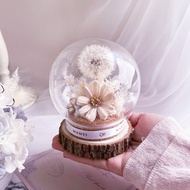 純白蒲公英魔法球(多色) 乾燥花 永生花 客製化禮物 聖誕禮盒
