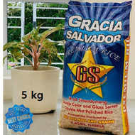 Gracia Salvador Well Milled Premium White Rice Sinandomeng 5 kg