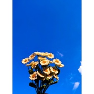 Daisy crochet flower | Knit flowers | Daisy flower | Daisy flower