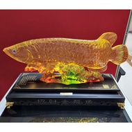 Feng Shui – Arowana Fish