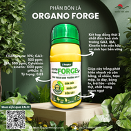Phân bón kích thích sinh trưởng ORGANO FORGE HỢP TRÍ (chai 250ml)
