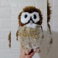 Babydoll 🐶 Boneka Hewan Burung Hantu Harry Potter (Harry Potter OWL