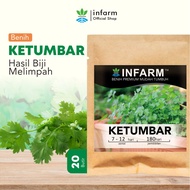 Bibit Benih Sayur Bibit Sayuran Ketumbar Daun Ketumbar Biji Ketumbar Tanaman Ketumbar Sayur