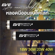 EVE หลอดนีออนแบล็คไลท์ หลอดไฟ หลอดสำหรับชุดราง ชุดรางนีออน T8 / T12 รุ่น BLB ขนาด 18W 36W และ 20W 40