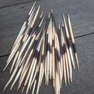 bulu landak asli kalimantan