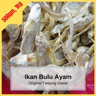 Ikan Masin Bulu Ayam - Ikan Kering Tanjung Dawai