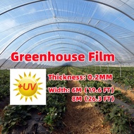 6m  8m Width Greenhouse Film UV 0.2mm Thickness Greenhouse Plastic  UV Plastik Plastic UV  Filem Rumah Hijau