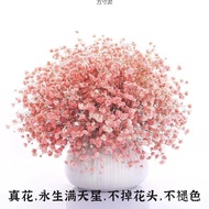 With Long Placement Can Living Room Wholesale Bouquet Bouquet Flower Gypsophila Bedroom Dried Flower