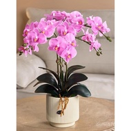 Decoration Flower Decoration Flower Decoration Art Flower Table Flower Decoration Orchid Light Luxur