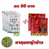 วัชพืช ไม่ทำร้ายข้าว! ยาคุมหญ้าข้าว คุมฆ่าในนาข้าว เข้มข้นสุดๆ 10g ประหยัดข้าวจากวัชพืช กำจัดหญ้าในน