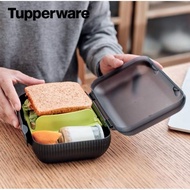 0963 Tupperware At Lunch Box/Tupperware Lunch Box/ Oyster keeper