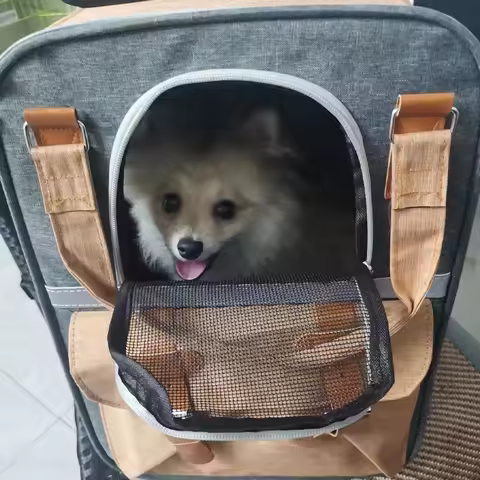 dog accessories Dog bed Backpack for dog Chihuahua French Bulldog Poodle ventilate Small dog carryin