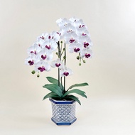 Akara Dokmaii Thai Artificial Orchid Pot