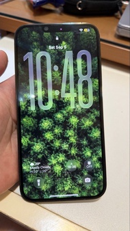 iphone 13 pro max alpine green 松嶺青色 1TB 美版無鎖 可用esim