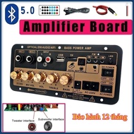 D50 Bluetooth 4.2 30-120w Speaker Board for Home Speaker, DIY Karaoke, Audio Amplifier