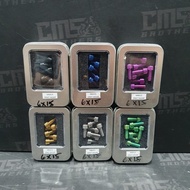 WR3 Titanium Bolts Brembo Caliper M6 x 15 Coarse Thread