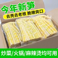 Bamboo Shoots Tender Bamboo Shoots Tip Seasonal Fresh Small Bamboo Shoots Hand-Shredded Bamboo Shoot