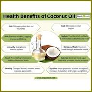 ◊☜ ☁ ― VCO Virgin Coconut Oil For Dog 250ML Premium Coconut Oil For Dog Virgin Coconut Oil Food Sup