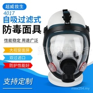 Ready Stock Large Horizon 4017 Anti-dust Five-Point Gas Mask Filter Type Supply Self-Absorbent Mask 