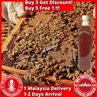 MR BENTONG HONEY Madu Asli Hutan Pure Honey 野蜜蜂蜜 Tualang Kelulut Royale Jelly Sarang Lebah C