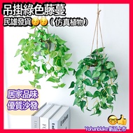 Simulation Green Dill Leaf Hanging Basket Red Palm Home Decoration Plant Wall Small Fresh Vines