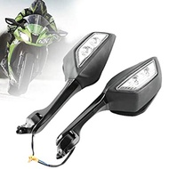 Kawasaki ZX10R ZX10-R 2011 - 2015 Side Mirror