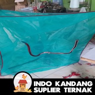 Kandang Lalat Maggot Bsf Murah