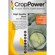 benih kubis bulat F1 HYBRID. CROP POWER.REPACKING RM5.99 40 BIJI BENIH