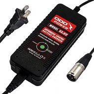 QDD 43.8V 2A LiFePO4 Charger for 12S 38.4V with 3Pin-XLR 1+2- Connector Iron Phosphate Battery Maint