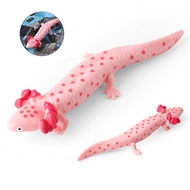 Amphibian salamander axolotl hexaceratops freshwater fish simulation model children cognitive toys t