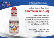 ซานโตลินดับบลิว-ดี(ใหญ่)35Ml. #ตัวแทนจำหน่ายลำปำฟาร์ม #รับสินค้าจากบริษัทโดยตรง #รับประกันของแท้ #รับประกันคุณภาพ #kaichonheng อาหารไก่ชน