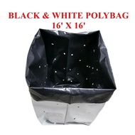 16x16 POLYBAG BLACK & WHITE