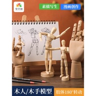 Human Body Model Manga Sketch Painting Human Body Model