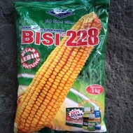 Benih jagung Bisi 228 (1kg)