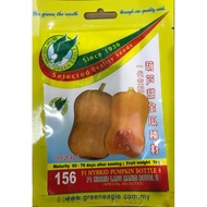 156 F1 HYBRID PUMPKIN BOTTLE 8