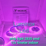 2835 indoor pink led strip 120led 12volt 12v 5meter 600led PINK 12v