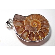 Real Ammonite Fossil Shell Pendant  Natural Polished Stone  #03