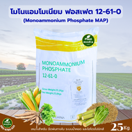 ปุ๋ย 12-60-0 ปุ๋ยเกล็ด โซนิค-เอ็มเอพี โมโนแอมโมเนียมฟอสเฟต บรรจุ 25 กิโลกรัม