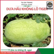 F1 Tiger Giant Watermelon Seeds - Ta Gia Trang Seed Shop