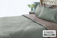 EXOTICA ปลอกผ้านวมถอดซักได้ / ผ้านวมเย็บติด ลาย Synergy ที่นอน 6 ฟุตหรือ 5 ฟุต (100"x 90") / 3.5 ฟุต
