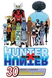 Hunter x Hunter, Vol. 30 Yoshihiro Togashi