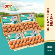 QL Eggs Day 1 Brain+  - Medium 50pcs Fresh Egg Farm Fresh Egg Telur Segar