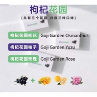 Elead Goji Garden Goji Garden (1Box30packs) Exp2025 100% Cut Code