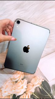 ipad mini6 64g 灰色 LTE版