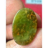 Fossil Lumut Bekristal Tua Asli Motif Alami Tumbuhan Purba Last Unit Saiz 20Sen Lama