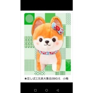 Mameshiba Brothers Big Ume-chan Plushie